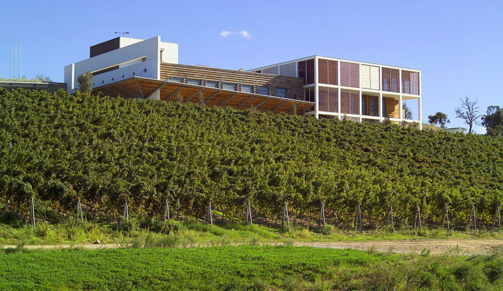 La nuova Cantina di ColleMassari