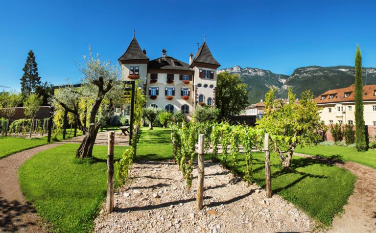 Scopri di più sull'articolo La cantina San Michele Appiano in Alto Adige
