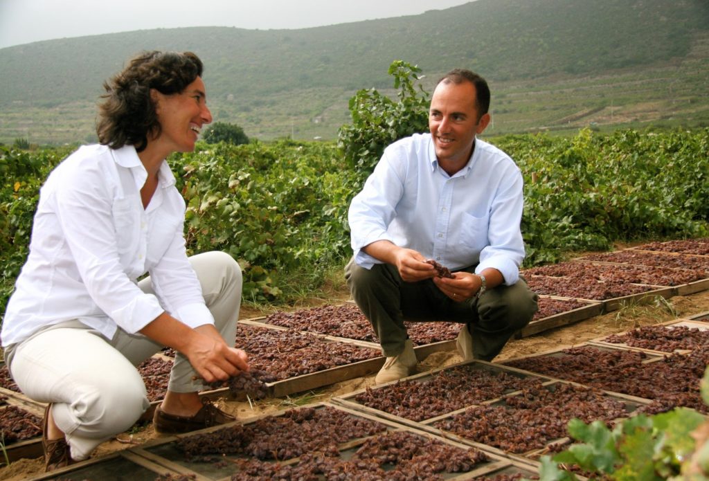 José e Antonio Rallo proprietari dell'azienda Donnafugata, assaporano la dolcissima uva da cui si produce il Ben Ryé, passito di Pantelleria. Foto di Anna Pakula