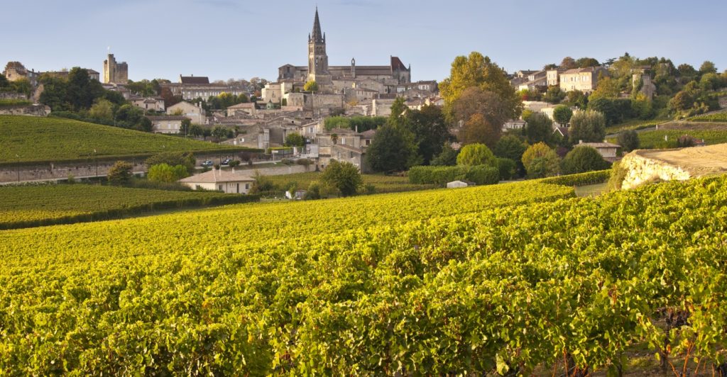Bordeaux. Una panoramica mozzafiato di paesaggi viticoli