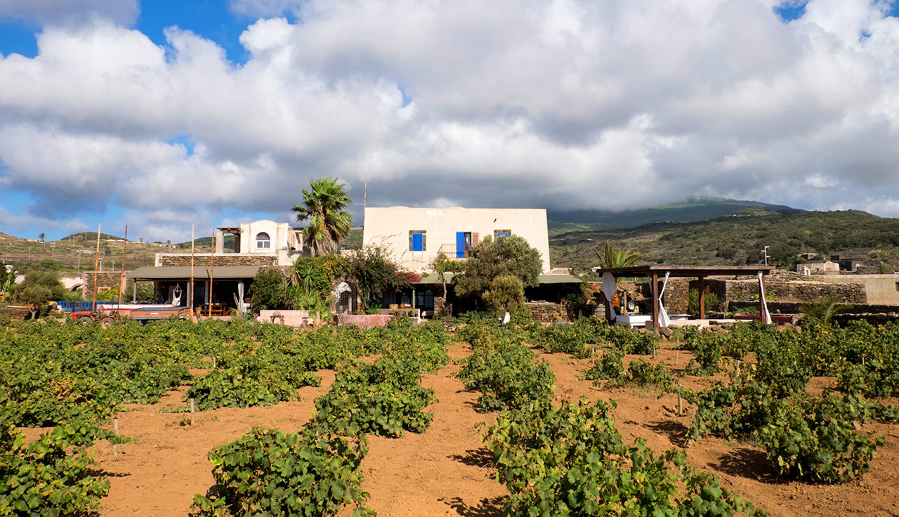 La cantina Bukkuram a Pantelleria. Foto di Pippo Onora