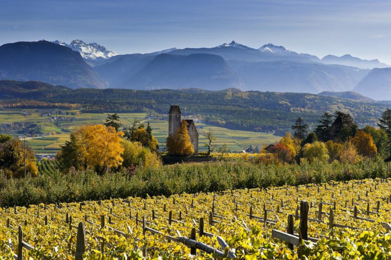 Scopri di più sull'articolo In Trentino Alto Adige nella Cantina Produttori Colterenzio