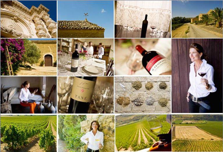 Scopri di più sull'articolo In Sicilia nella Cantina Valle dell’Acate con il Cerasuolo di Vittoria D.O.C.G
