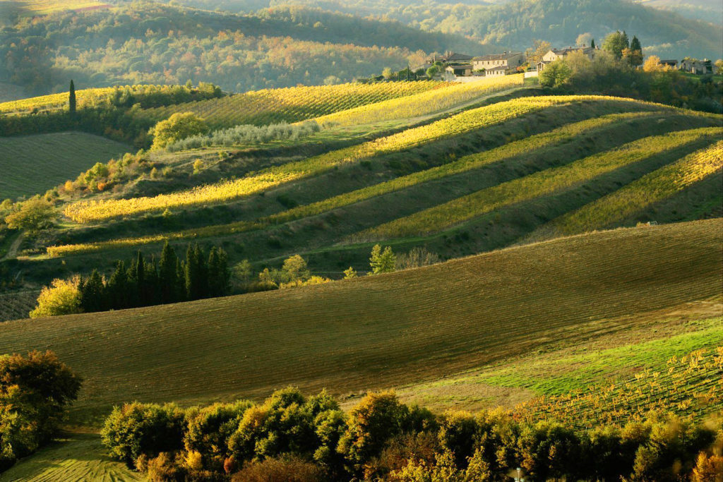 Toscana, le colline del Chianti