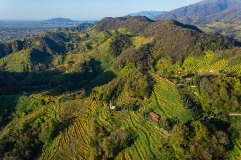 Scopri di più sull'articolo Tour in Veneto tra cibo, arte e grandi vini. Itinerario 2