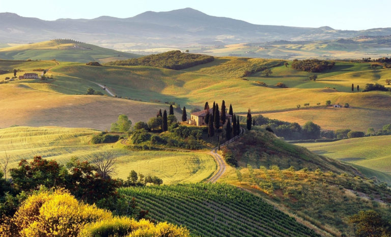 Scopri di più sull'articolo I wine tour italiani più apprezzati dai viaggiatori internazionali