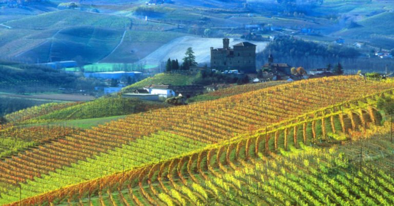 Scopri di più sull'articolo Barolo, Timorasso e Barbera d’Asti: 3 vini iconici che raccontano il Piemonte