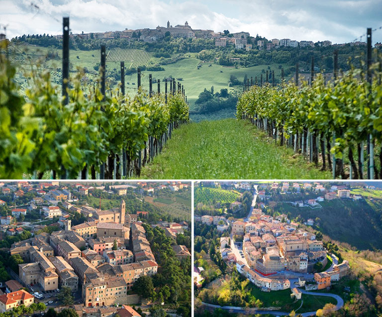 Scopri di più sull'articolo Understanding italian wine. Three wines to discover one region: Le Marche