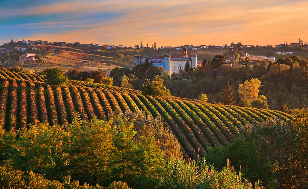 Vineyard landscape at Costigliole d'Asti