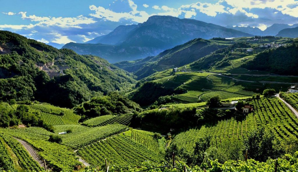 Azienda Vitivinicola Villa Corniole, Valle di Cembra