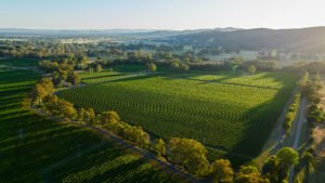 Scopri di più sull'articolo Da Londra il trend 2017: Riesling australiani al top