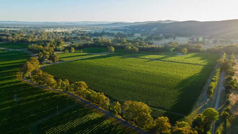 Scopri di più sull'articolo Da Londra il trend 2017: Riesling australiani al top