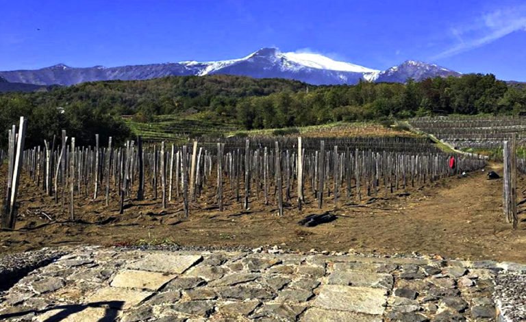 Scopri di più sull'articolo Etna: alla scoperta di un grande terroir italiano con Salvo Foti