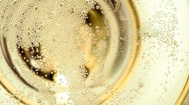 Scopri di più sull'articolo Capire il Prosecco in 9 step: facciamo chiarezza