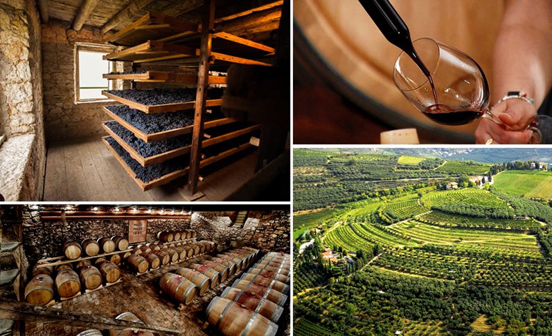 Scopri di più sull'articolo Guide to Amarone wine: aromas, matching and best wineries