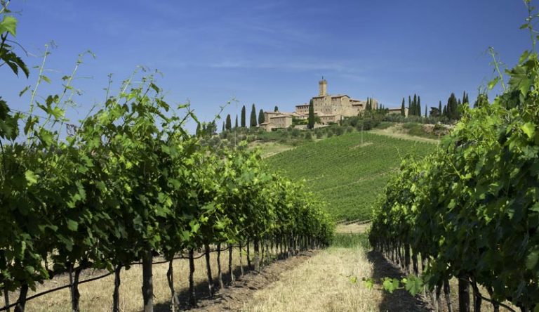 Scopri di più sull'articolo I migliori vini italiani secondo Vinitaly