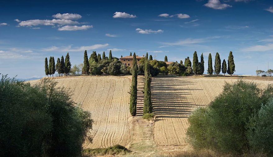 Cantine d'Italia è la guida all'enoturista di Go Wine che propone durante tutto l'anno degustazioni ai banchi d'assaggio aperte anche agli appassionati