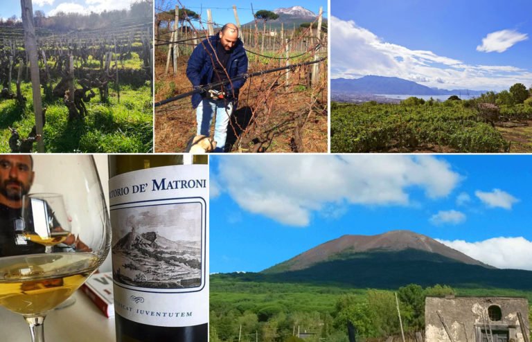 Scopri di più sull'articolo Andrea Matrone, l’enologo che coltiva alberelli sul Vesuvio