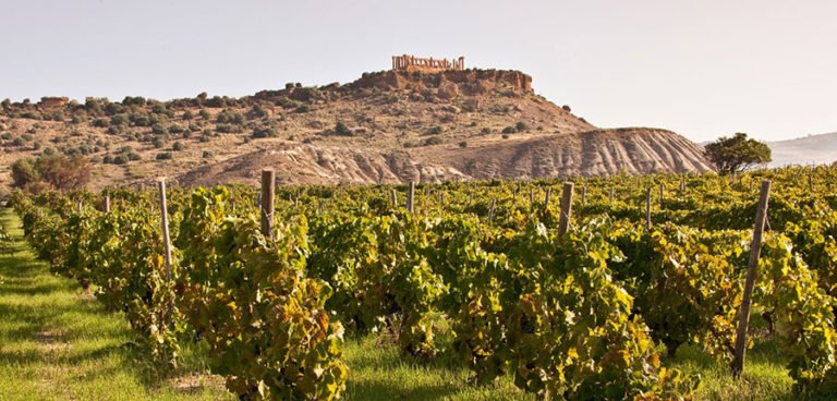 Scopri di più sull'articolo Il grande rosso di Sicilia protagonista de Le Giornate Internazionali del Nero d’Avola