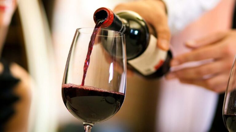 Scopri di più sull'articolo Guida Vini d’Italia 2021 Gambero Rosso: i migliori vini e le migliori cantine dell’anno