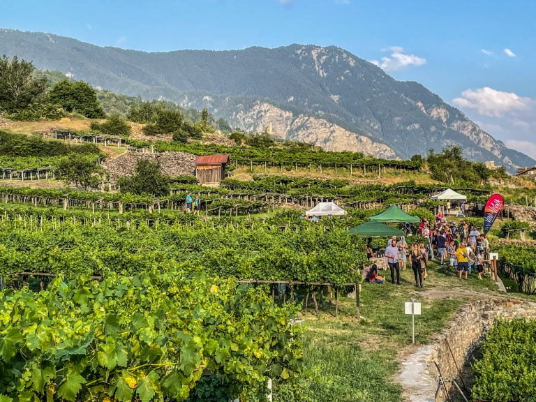Scopri di più sull'articolo Vini in Vigna: due appuntamenti per degustare la Valle d’Aosta enoica