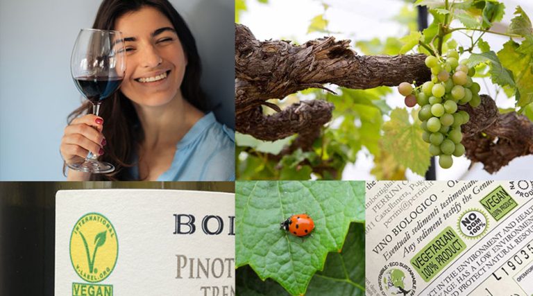 Scopri di più sull'articolo Che cosa sono i vini vegani