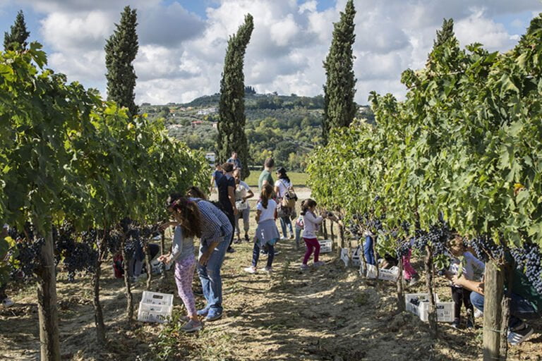 Scopri di più sull'articolo Cantine Aperte in Vendemmia in tutta Italia: il wine festival diffuso ci sarà anche quest’anno