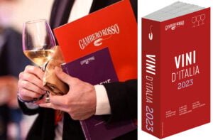 Scopri di più sull'articolo Guida Vini d’Italia 2023 Gambero Rosso: i migliori vini e le migliori cantine dell’anno