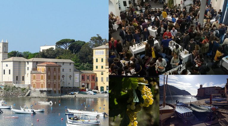 Scopri di più sull'articolo The Wine Revolution: ritorna la degustazione sul vino di filosofia naturale