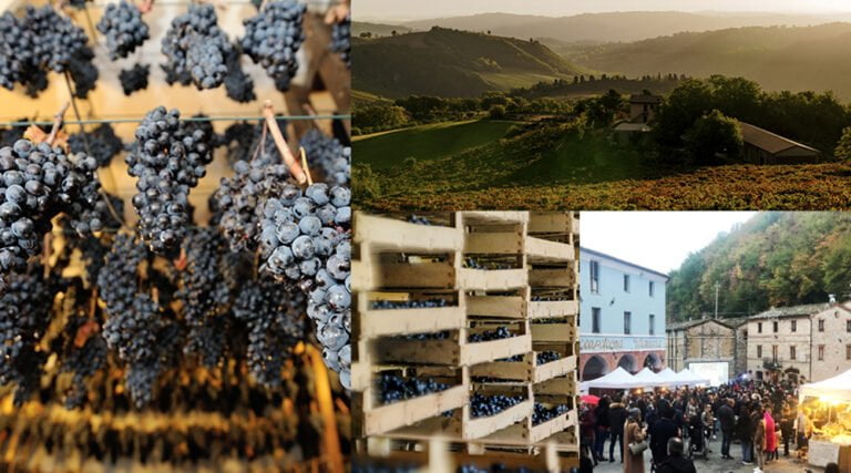 Scopri di più sull'articolo Appassimenti Aperti: due domeniche di festa a novembre per celebrare la Vernaccia Nera