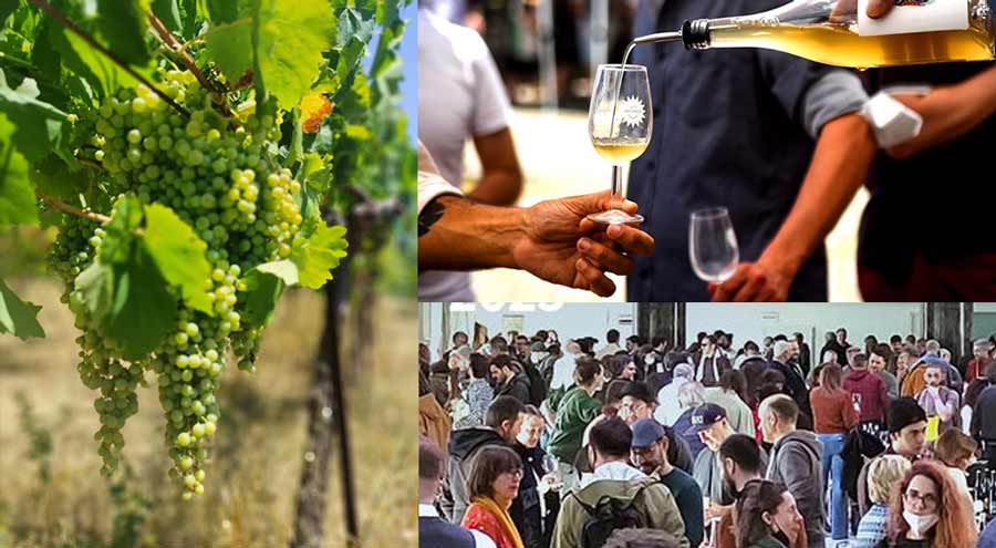 Evento Vini Selvaggi - degustazione 800 vini naturali da tutta Europa