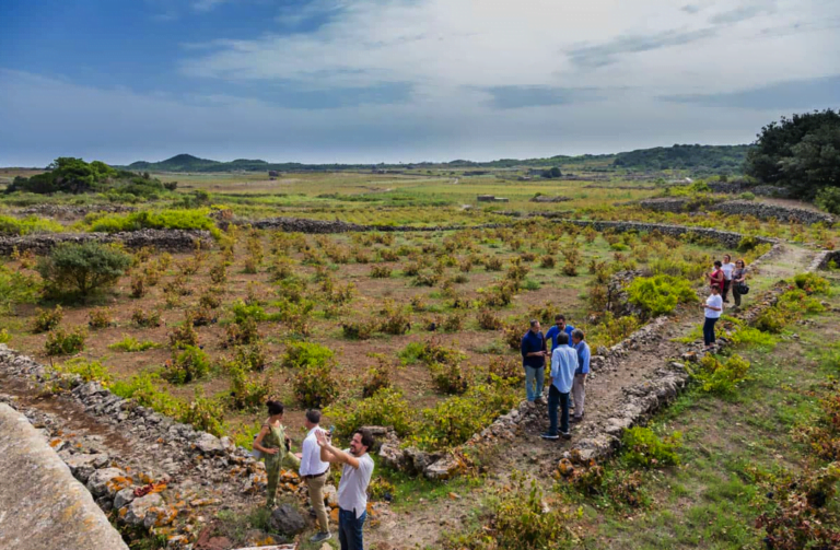 Scopri di più sull'articolo La classifica dei migliori vini eroici 2022. Al vertice Pantelleria