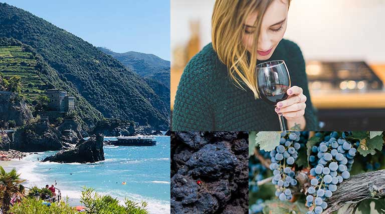 TI sei mai chiesto cosa sono i vini eroici: te lo spiego in questo articolo Cosa sono i vini eroici