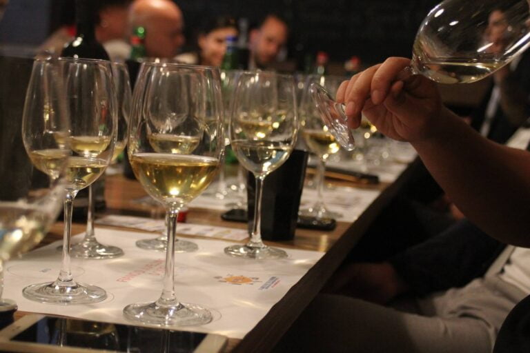 Scopri di più sull'articolo Radici del Sud 2023: i migliori vini premiati
