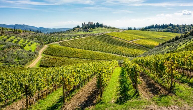 Scopri di più sull'articolo Chianti Classico: degustazioni, musica e incontri per un’estate ricca di eventi