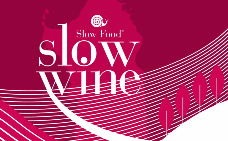 Scopri di più sull'articolo Slow Wine 2024: le migliori cantine d’Italia regione per regione