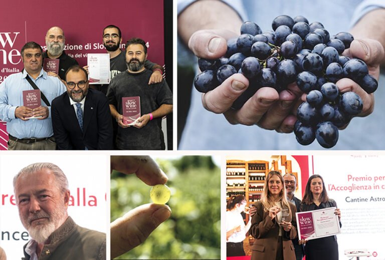 Scopri di più sull'articolo Premi Slow Wine 2024: ecco chi sono i protagonisti del vino buono, pulito e giusto