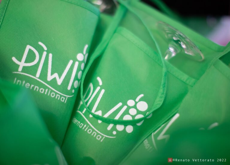 Scopri di più sull'articolo Alla scoperta dei vini PIWI a Venezia con la degustazione del 2 dicembre 2023