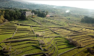 Scopri di più sull'articolo Castello di Solicchiata: la cantina mozzafiato sull’Etna che non si può visitare