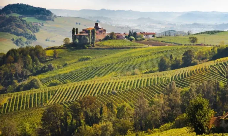 Scopri di più sull'articolo Alto Piemonte e Gran Monferrato sono Città Europea del Vino 2024