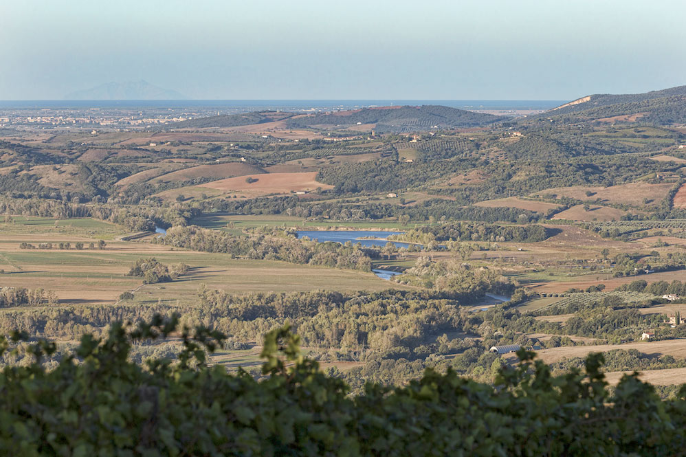 Vini Montecucco Consorzio Montecucco vista da Tenuta di Montecucco sullo sfondo Montecristo copia