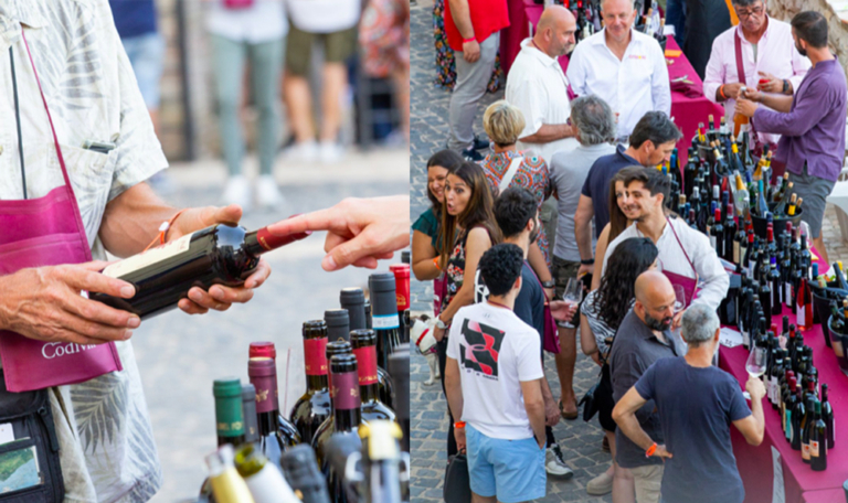 Scopri di più sull'articolo Annunciate le date della rassegna enogastronomica VinoIntorno