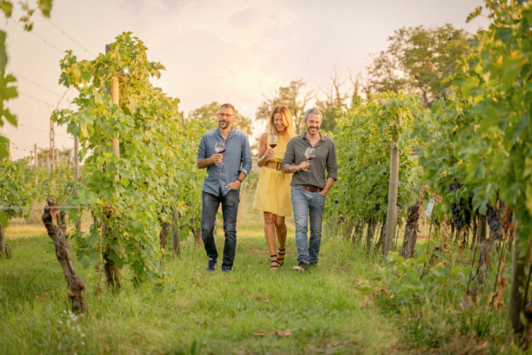 Scopri di più sull'articolo Alla scoperta dei vini e dei piatti tipici nelle cantine della Valpolicella, in e-bike, a piedi o persino a cavallo