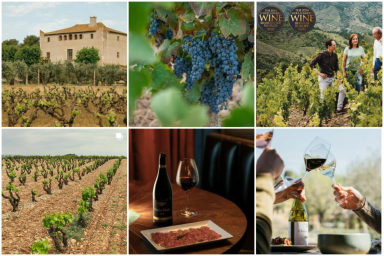 Scopri di più sull'articolo The World’s Most Admired Wine Brand: sette cantine italiane tra le più ammirate al mondo secondo la rivista Drinks International