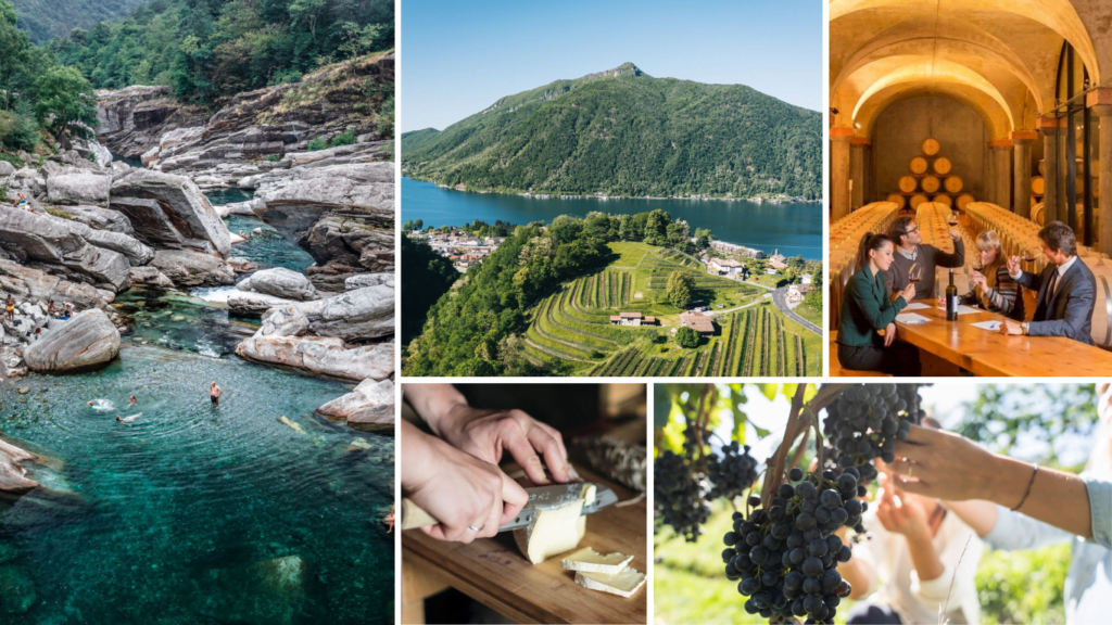 Uno degli ottimo motivi per fare un viaggio in Svizzera è il vino del Canton Ticino