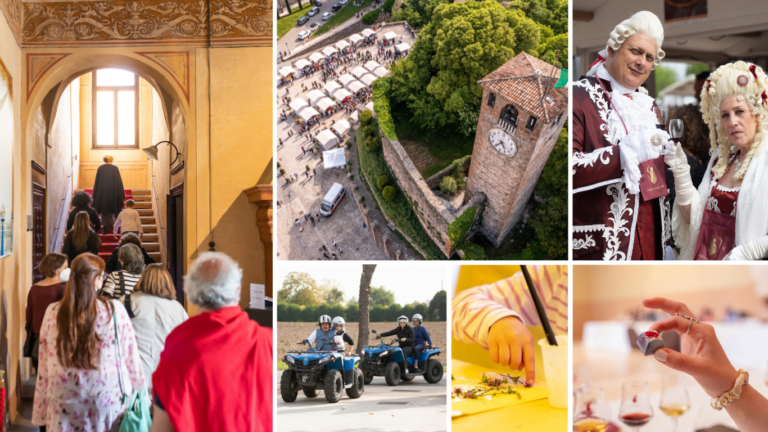 Scopri di più sull'articolo Mostra Nazionale dei Vini Passiti e da Meditazione: a Mantova un grande festival culturale con esperienze per tutta la famiglia
