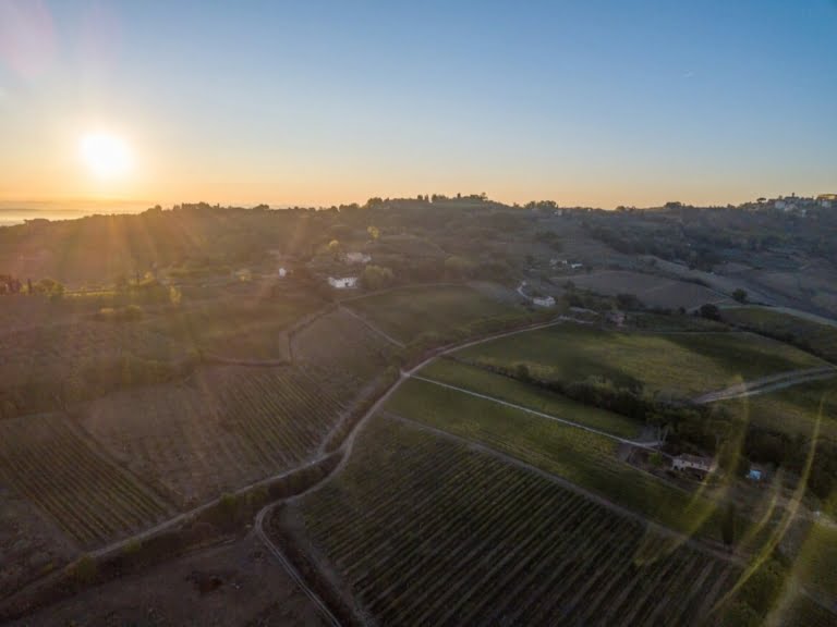 Scopri di più sull'articolo Wine Tour in Toscana, intinerario di bellezza e storia, sulle orme del Nobile di Montepulciano, sino al cuore dell’azienda Talosa