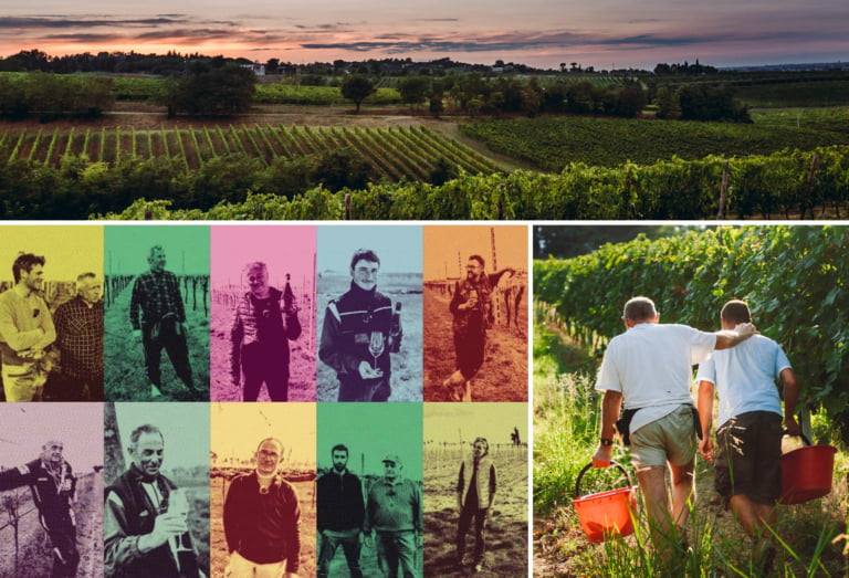 Scopri di più sull'articolo Terre Cevico: 10 storie (reels) di Trebbiano in Romagna raccontate da altrettanti viticoltori