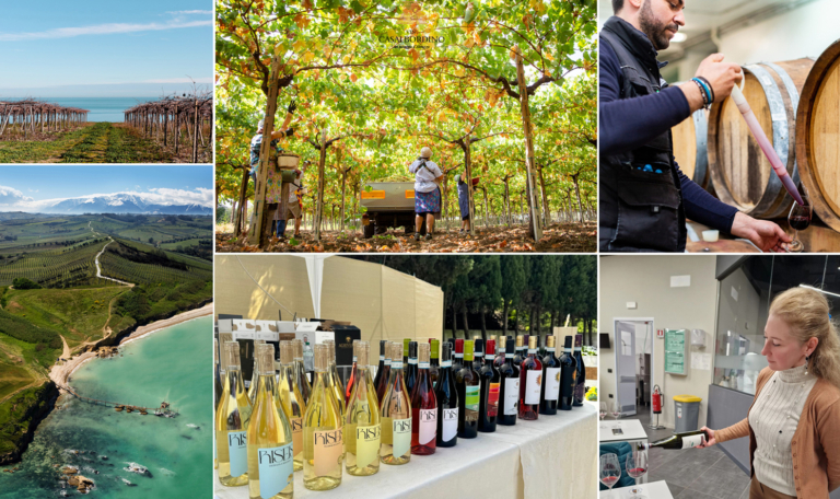 Scopri di più sull'articolo Vino biologico e sostenibile italiano: verso i nuovi mercati dell’Est Europa con CaesarNet. Le cantine e i numeri del Bio
