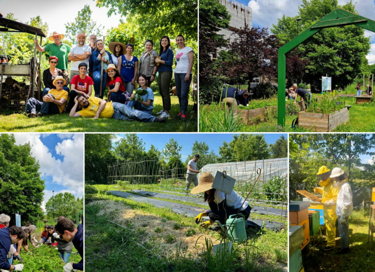 Scopri di più sull'articolo Nascono gli Orti Slow Food di comunità: terapeutici, urbani, sociali, conviviali, scolastici e collettivi